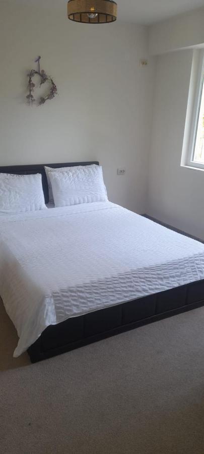Pliska Apartment Монтана Екстериор снимка